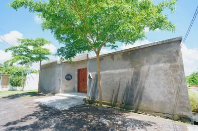 a tree sits in front of a building at Villa Orked 3 with family room Seminyak in Seminyak