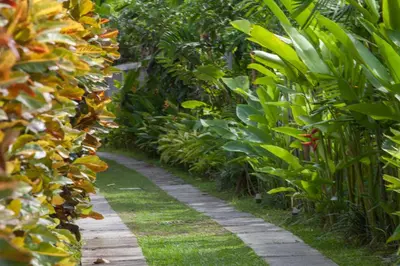 a path through a garden with green plants at Villa Liang by Nagisa Bali in Seminyak