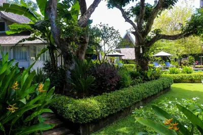 a garden in front of a house at Chanteak Bali - Stone House 1 in Jimbaran