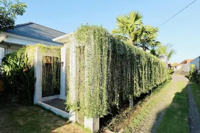 Gallery image of Boho Tropical 3BR Villa, Berawa Canggu, Bali in Canggu