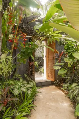 an entrance to a house with a bunch of plants at Lamoon Villas Berawa in Canggu