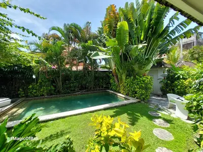 a small swimming pool in a garden with plants at Ocean Star 3 in Seminyak
