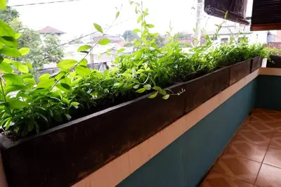 a row of plants on a window sill at Villa Bale Damai Denpasar in Seminyak