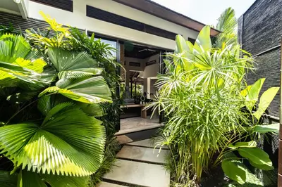 a tropical garden with plants and a walkway at PROMO Tropical 3 BD Villa with office and parking in Kerobokan