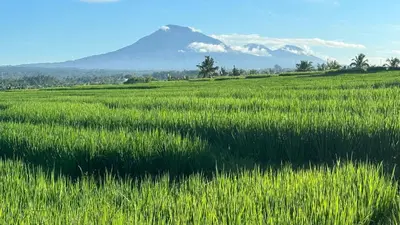 a field of green grass with a mountain in the background at Villa Tepi Sungai - 6BR Luxury Private Pool Villa - Seminyak Sleeps 14 in Legian
