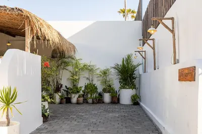 a courtyard with potted plants and a white wall at Villa Lagertha by Optimum Bali Villas in Kerobokan