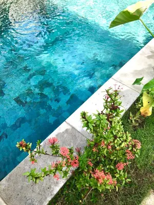 a pool of blue water with flowers next to it at Villa Abhista Seminyak in Seminyak