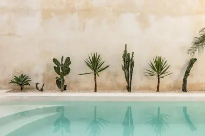a group of cacti and plants on a wall next to a pool at NEW Design villa, Casa Alma Bali, 2BR with private pool in Canggu